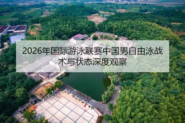 2026年国际游泳联赛中国男自由泳战术与状态深度观察
